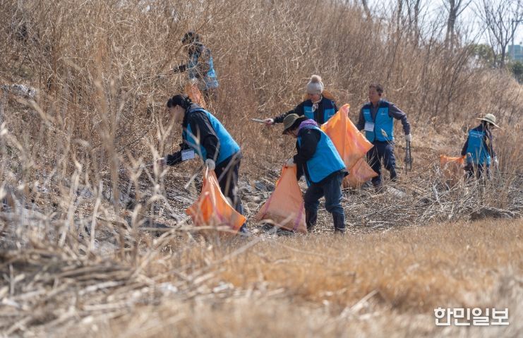 기후위기 대응 ‘블루카본’ 숲 조성 본격 추진