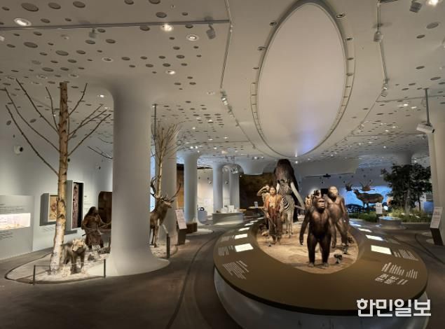 경기문화재단 전곡선사박물관, 상설전시실 전면 개편…42cm '초대형 주먹찌르개' 최초 공개