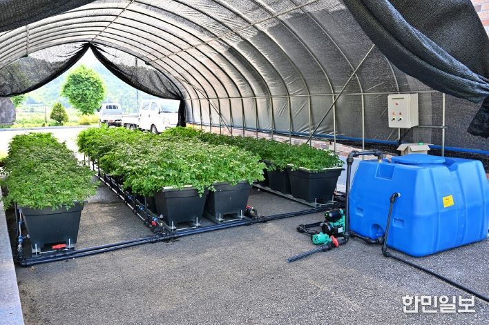 작은 공간이 농장으로…‘모듈형 수경재배장치’ 특허 등록
