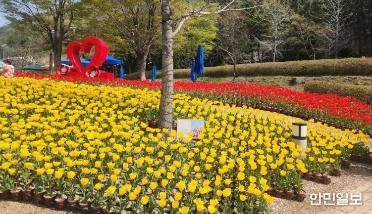 광장·산책로 일대 봄꽃동산 조성,