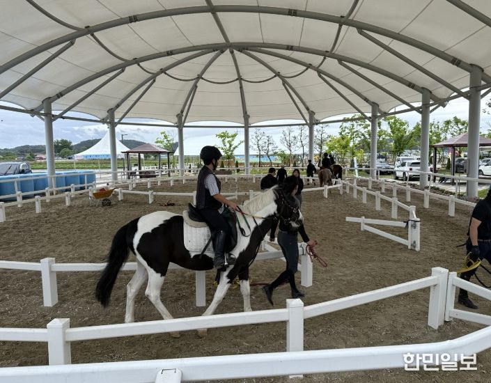익산시, 야간 승마강습 운영