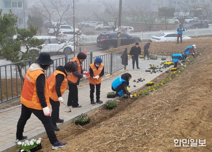 비전2동 2026년 새봄맞이 봄꽃 심기