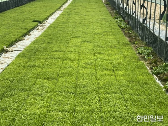 음성군, 벼 파종 전 종자 관리 꼼꼼히 챙기세요