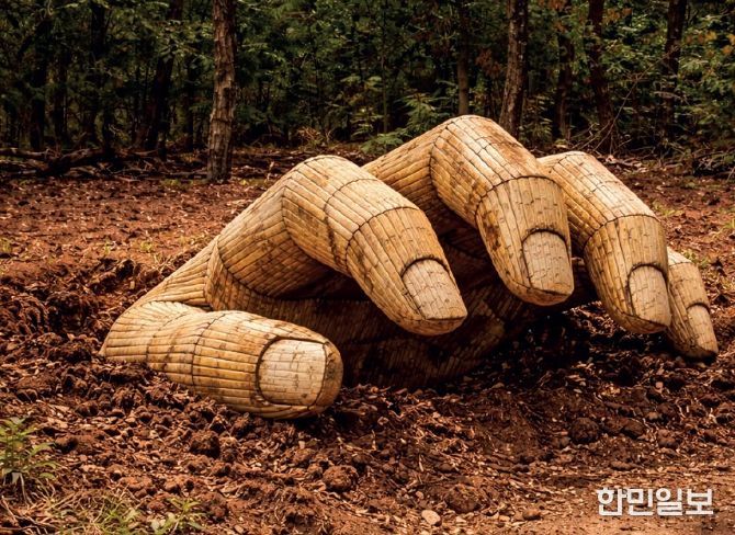 국제조형미술 프로젝트