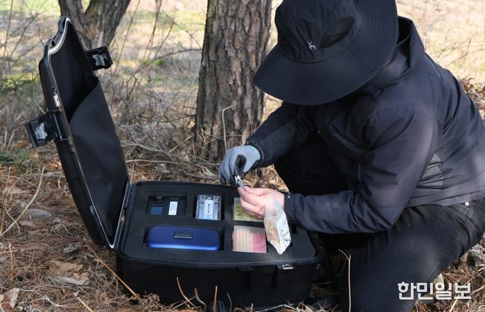 소나무재선충병 유전자 키트