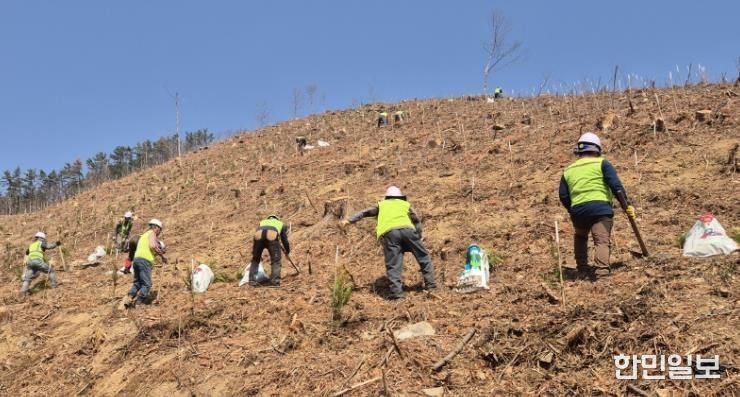 창원특례시, 조림‧숲가꾸기 사업으로 건강한 산림 조성