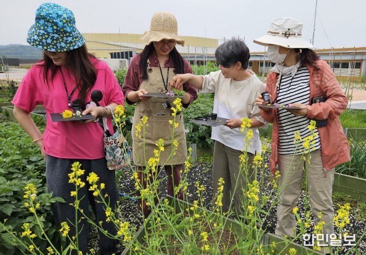 남동구, 초록빛‘도시농업’으로 숨 쉬다