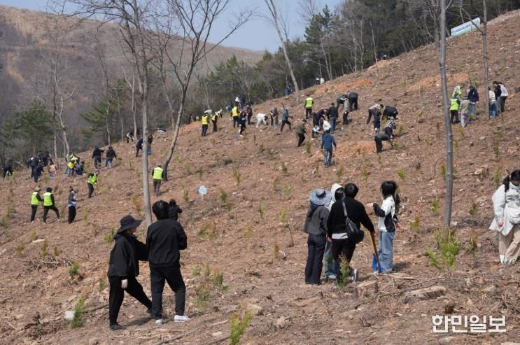 나무심기 행사 사진