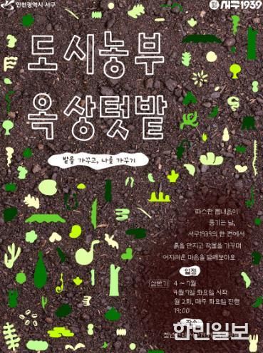 인천 서구, 청년들의 ‘옥상텃밭’ 상반기 참여자 모집... 함께 심고 함께 수확하는 기쁨