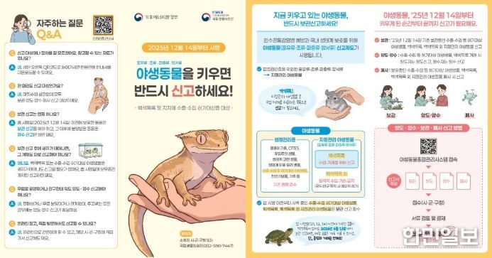 야생동물 한 마리라도 키우면 신고하세요!