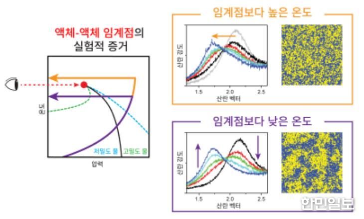 X선 자유전자 레이저를 활용해 관측된 액체-액체 임계점이 존재한다는 실험적 증거에 대한 모식도