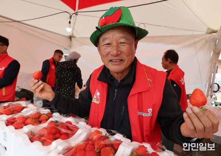 논산딸기축제 SNS인증샷 열풍
