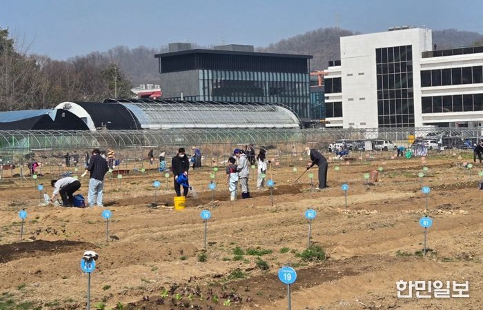 광명시 하안동 밤일마을에 자리한 시민주말농장에서 시민들이 땅을 가꾸고 있다.