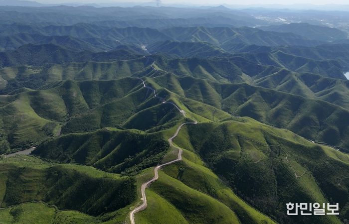 초대형 산불 이후, 함께 이겨낸 1년 안동시, 일상 회복 위에 새로운 미래를 그리다