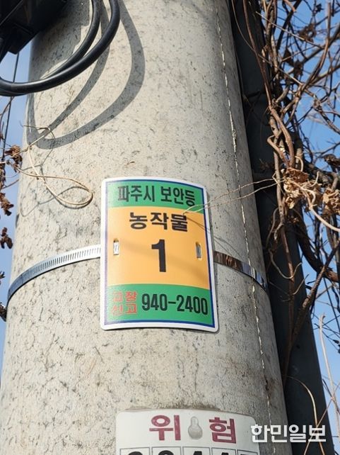 파주시, 농작물 피해 대응 위한 ‘스마트 원격 점멸기’ 도입