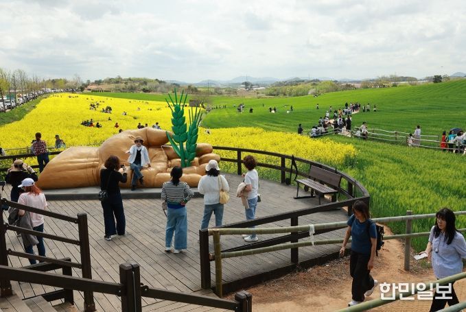 고창군, 4월18일 제23회 고창 청보리밭 축제 개막