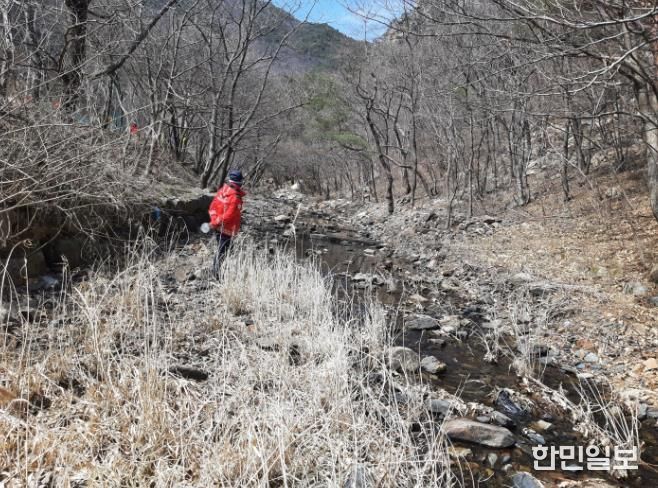 관계자가 산림 내 불법행위 단속하는 모습