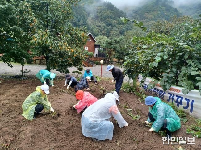 2025년 양양에서 살아보기