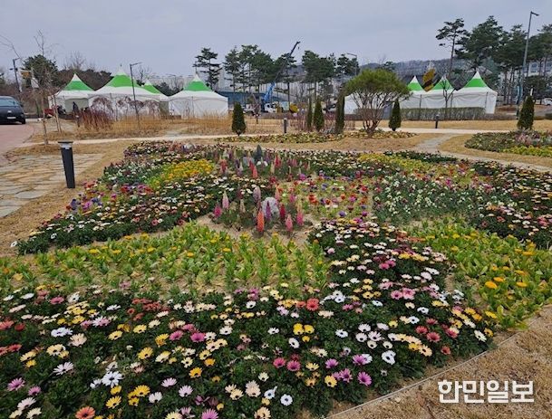 봄꽃 2만본 식재·음악벤치