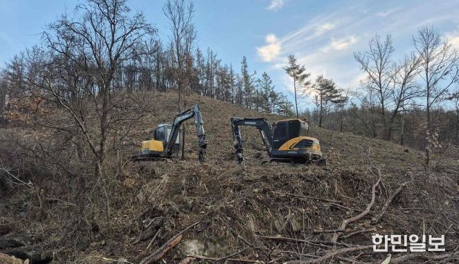 산불피해지 벌채사면 정비계획