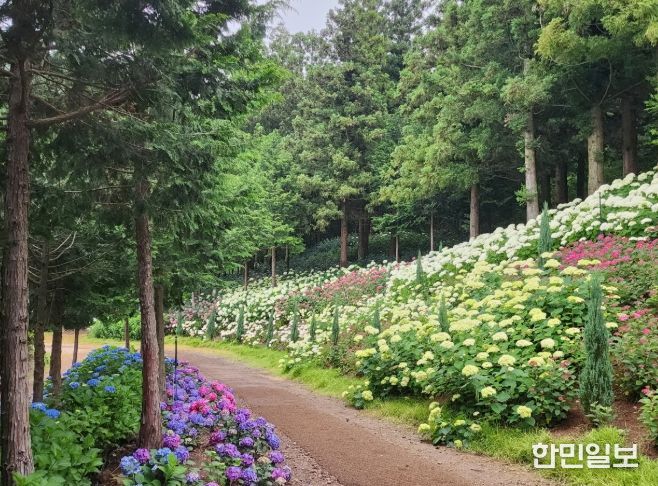 전남도 예쁜정원