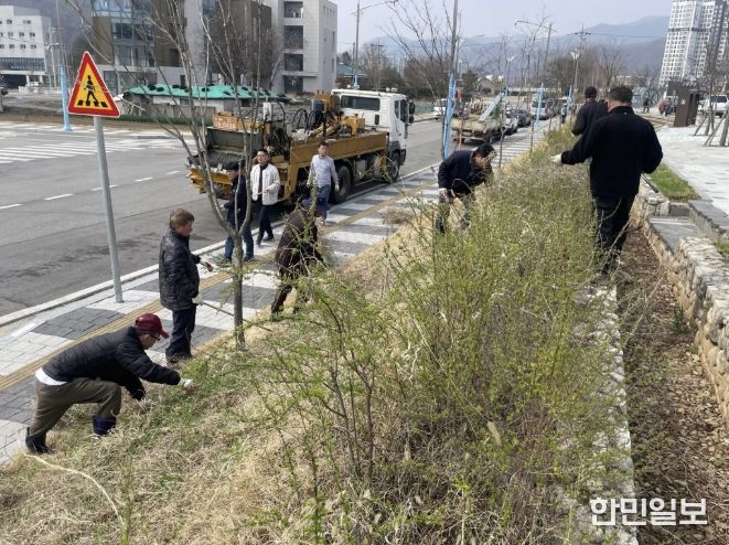 가평 청평면, 식목일 기념 나무 심고 환경정비