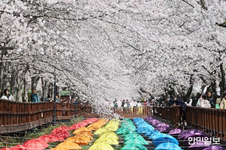 벚꽃으로 물든 제64회 진해군항제, 10일간의 여정 마무리