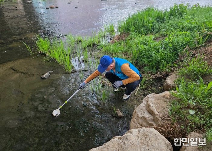 모기와 깔따구가 주로 서식하는 하천변을 중심으로 유충 밀도 조사를 하고 있다.