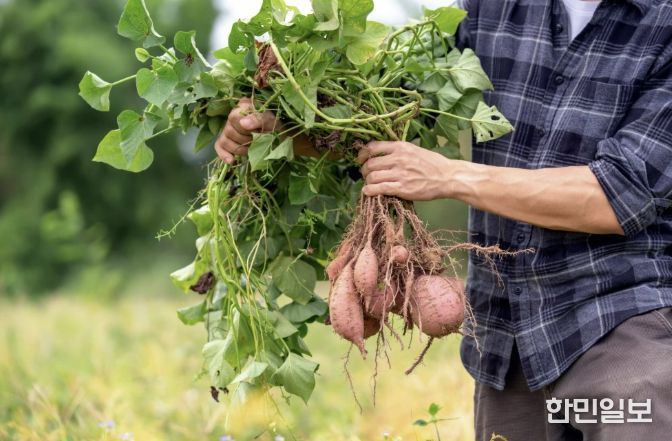 진안군, 지속가능한 친환경농업 지원 확대