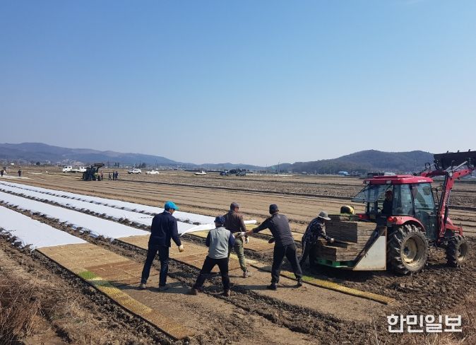 “못자리 설치는 4월 25일 이후에 하세요