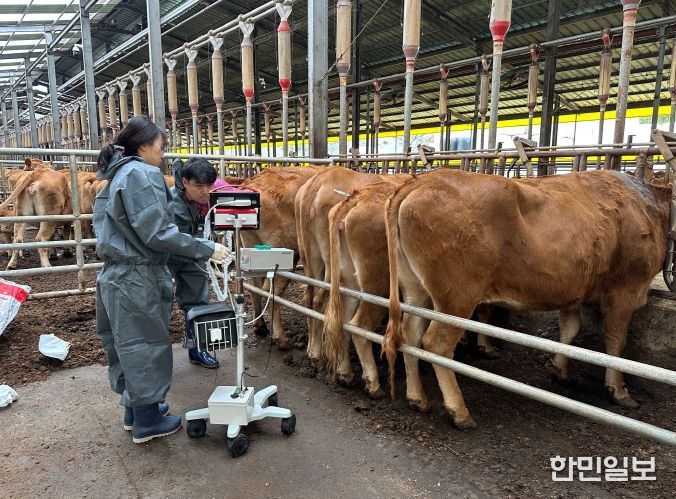 한우 개량지원사업 전국 평가 1위