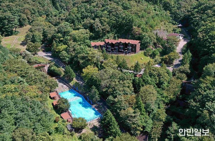 숲길체험프로그램