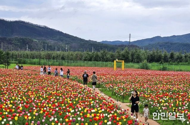 안동포타운, 안동포세대공감페스타 개최