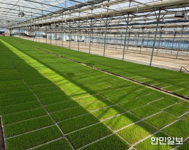 고성군 벼 안전육묘관리