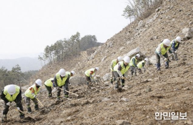 거창군, 2026년 춘기 조림사업 적기 추진 완료