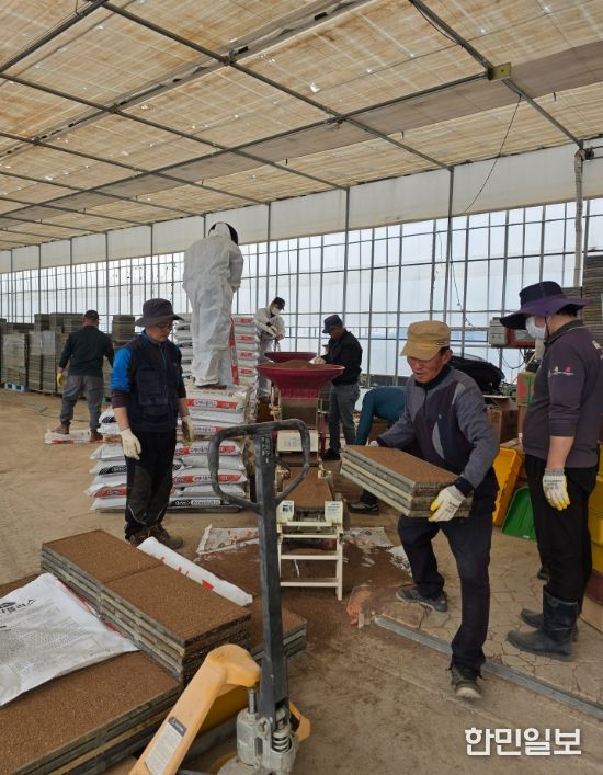 강릉시, 본격 벼 육묘작업 추진