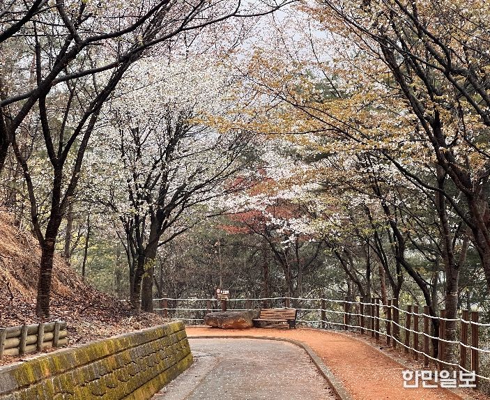 아쉬운 봄, 성주봉자연휴양림에서 다시 붙잡으세요
