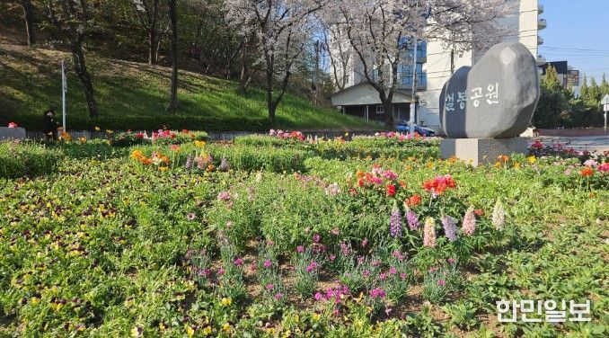 이천시, 설봉공원 봄맞이 초화류 식재 완료