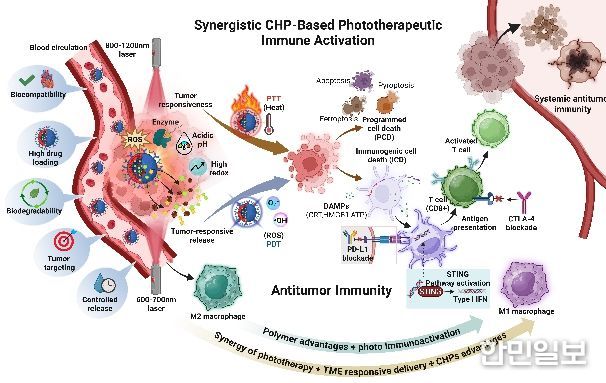 차세대 암 광면역치료 로드맵 제시