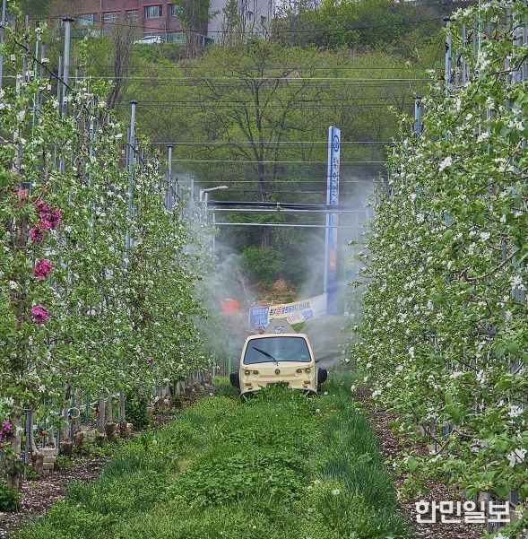안동시, 과수화상병 ‘개화기 적기 방제’ 총력
