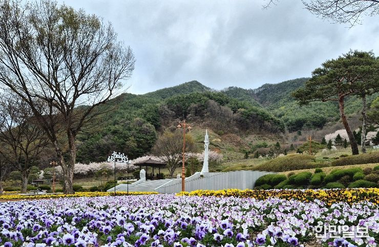 거창사건추모공원, 봄꽃으로 물들다