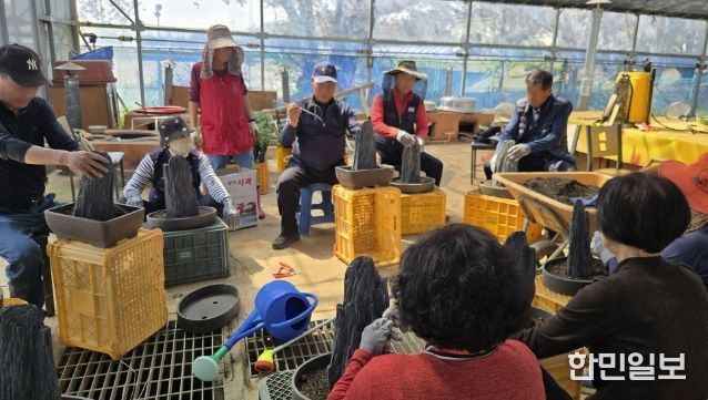지난 13일 서산국화축제장에서 진행된 작품국화 재배기술 교육