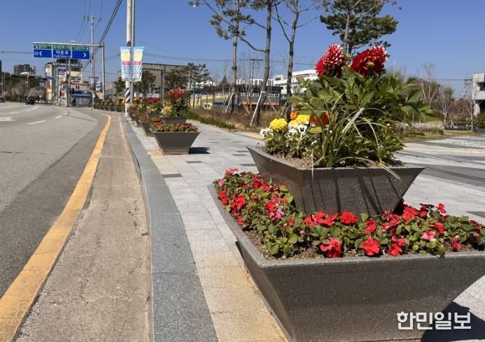익산시, 도심 곳곳 _봄꽃 물결_(익산세무서 일원).