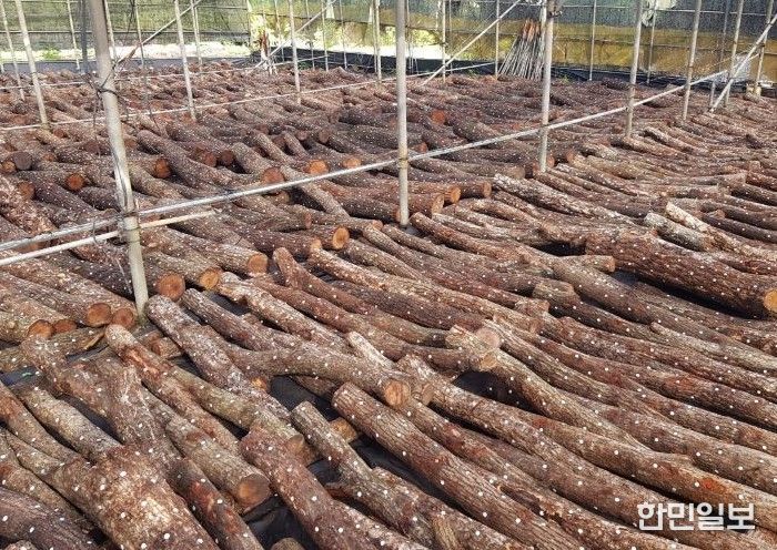 산림소득분야 보조사업