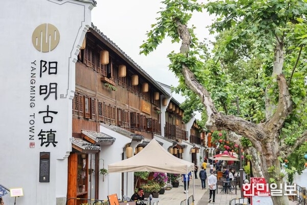 Yangming Town, Yuyao